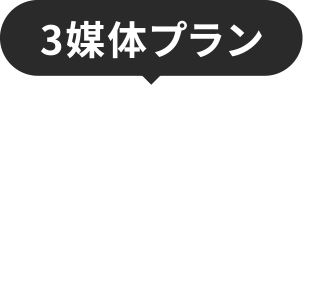 3媒体プラン 15万円/月(税別)