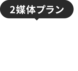 2媒体プラン 12万円/月(税別)